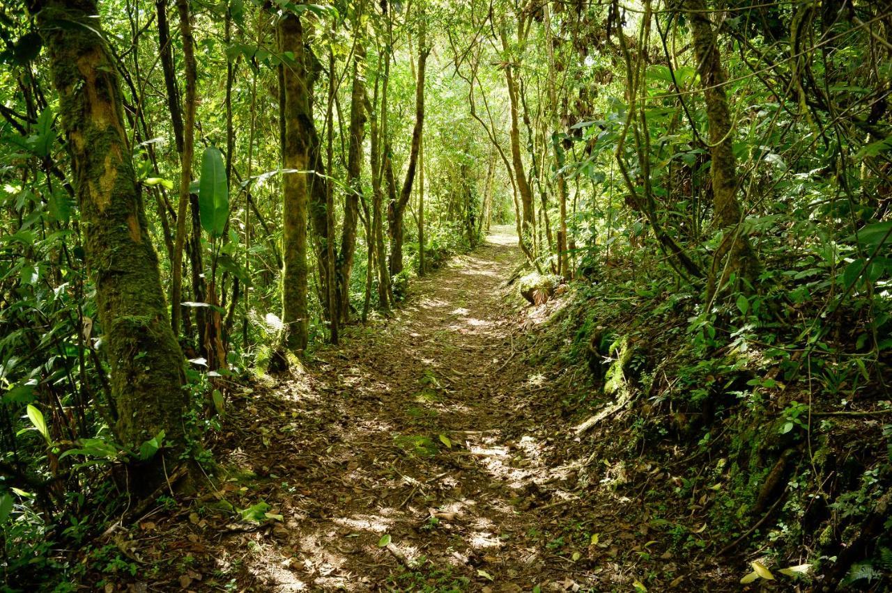 Talamanca Nature Reserve Rivas Exterior foto