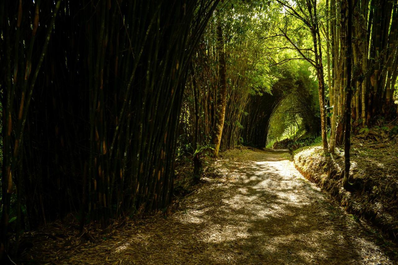 Talamanca Nature Reserve Rivas Exterior foto