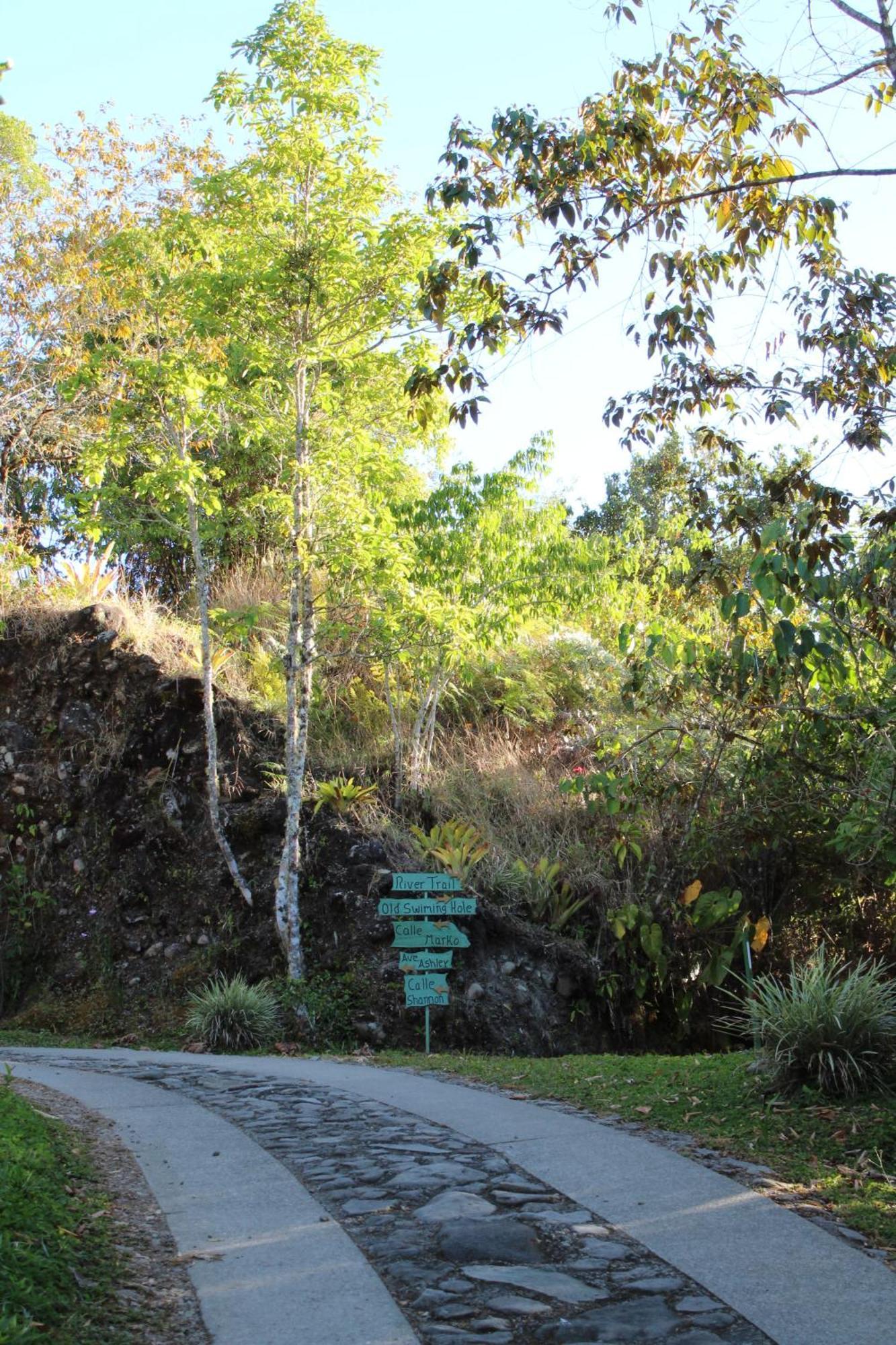 Talamanca Nature Reserve Rivas Exterior foto