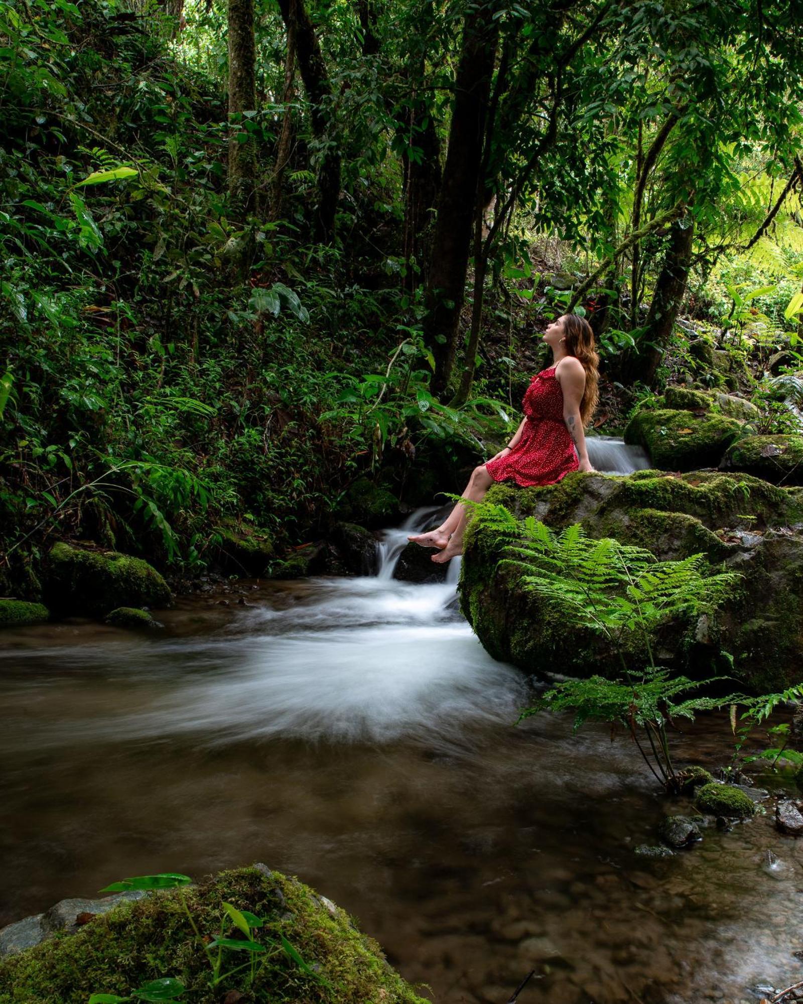 Talamanca Nature Reserve Rivas Exterior foto