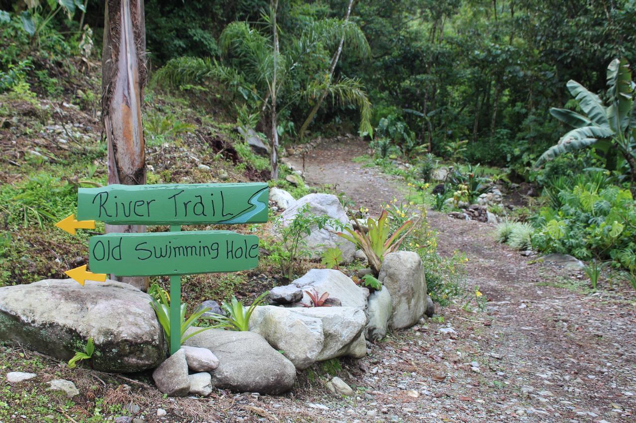 Talamanca Nature Reserve Rivas Exterior foto