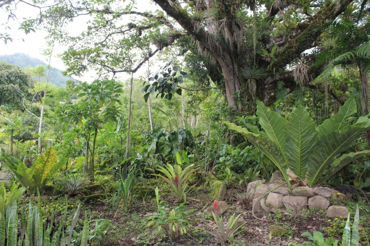 Talamanca Nature Reserve Rivas Exterior foto
