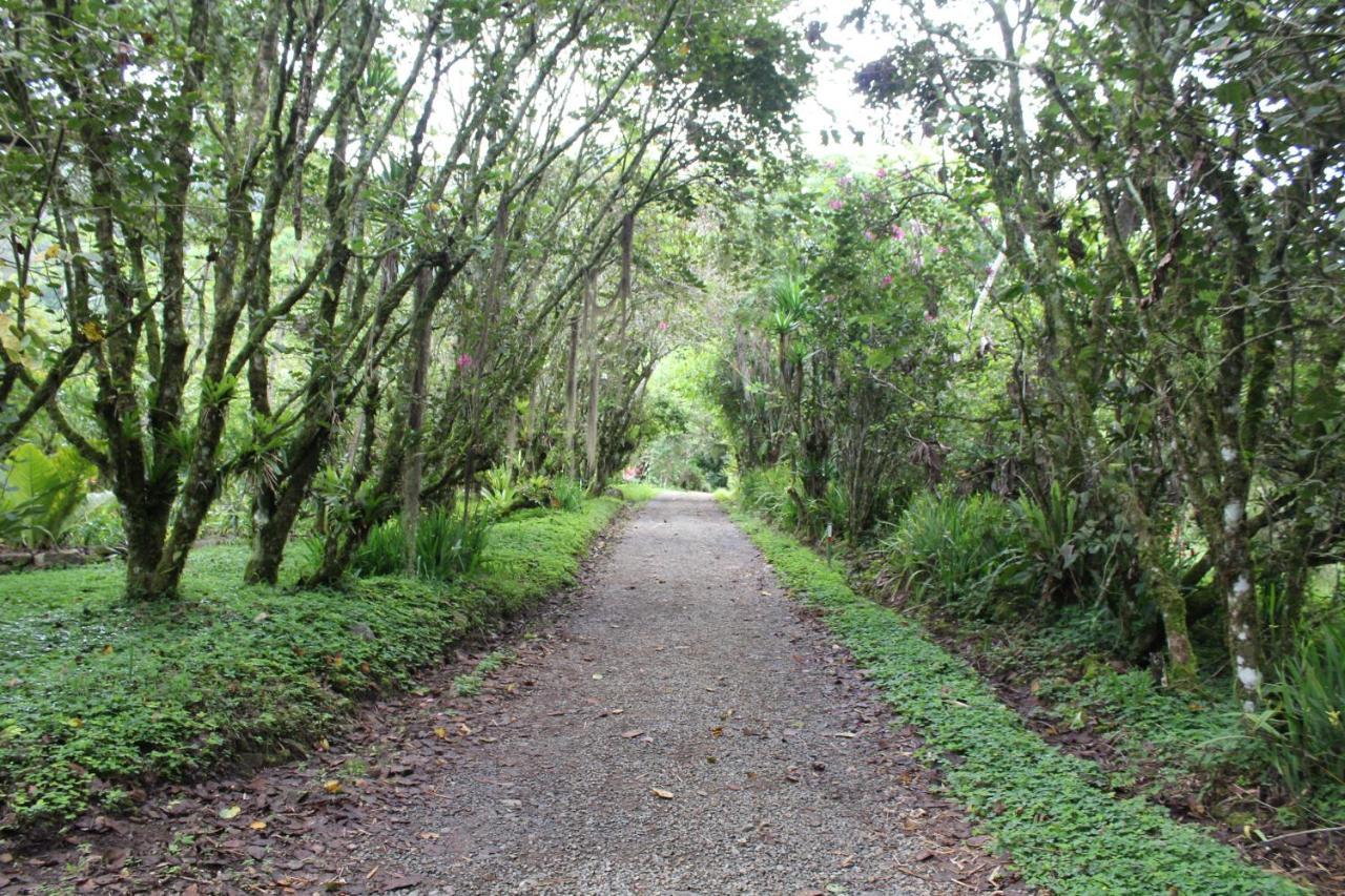 Talamanca Nature Reserve Rivas Exterior foto